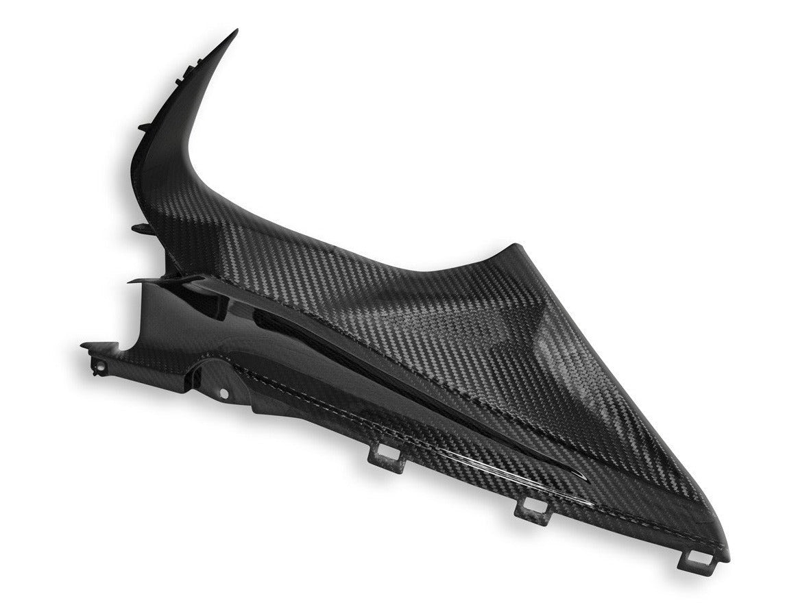 CRB113L - DBK BMW S1000RR (2019+) Carbon Infil Panel
