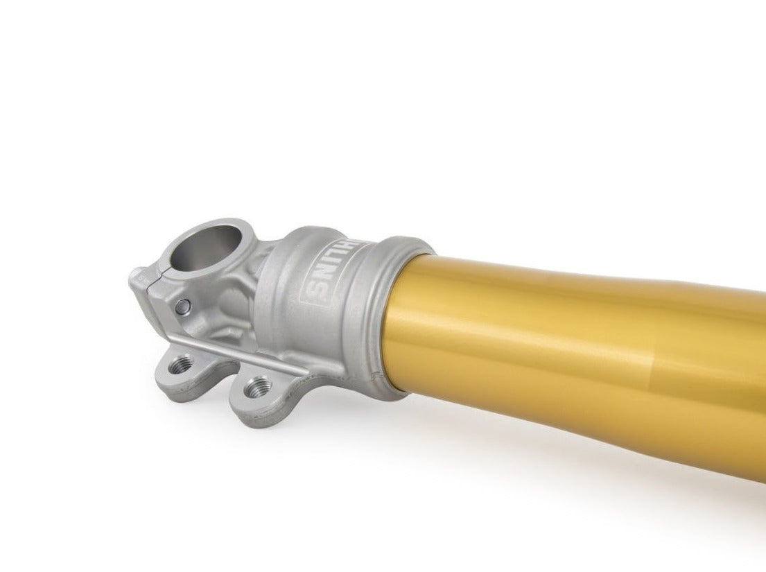 FG434SC - ÖHLINS BMW R nineT (16/20) Front Fork Kit (Full series; gold)
