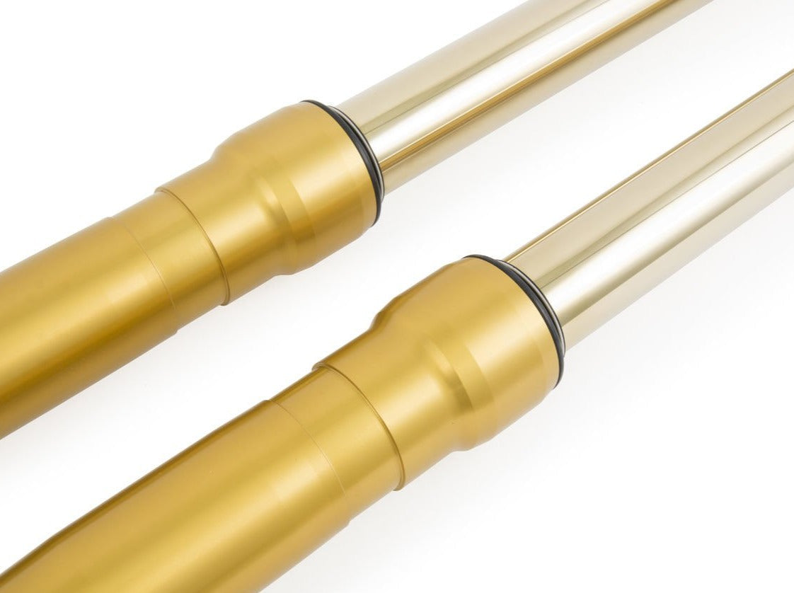 FG620 - ÖHLINS BMW R nineT (16/20) Front Fork