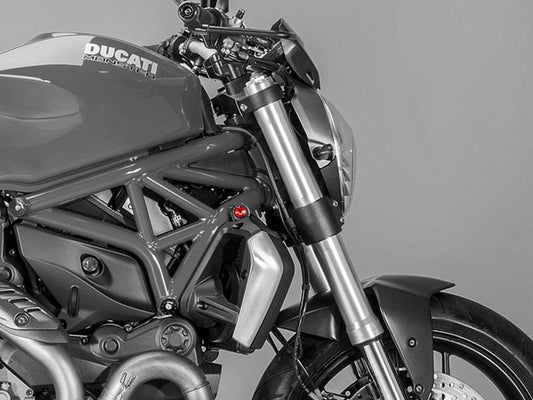 KV341 - CNC RACING Ducati Monster 1200/821 Radiator Screw – Accessories in the Factory Racing Motorcycle Aftermarket Accessories and Parts Online Shop