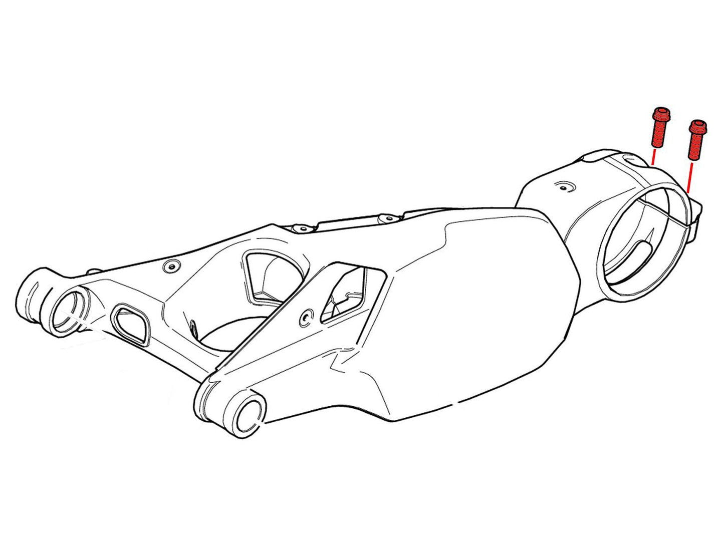 KV437X - CNC RACING Ducati Panigale V4 / Streetfighter V4 (18/24) Titanium Rear Hub Swingarm Pinch Bolts – Accessories in the Factory Racing Motorcycle Aftermarket Accessories and Parts Online Shop