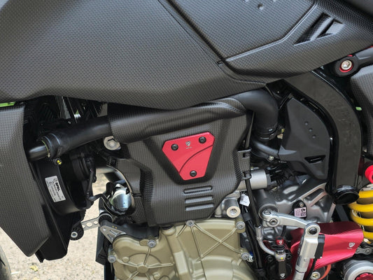 PR100 - CNC RACING Ducati Hypermotard 698 Mono (2024+) Engine Cover Protector (left) – Accessories in the Factory Racing Motorcycle Aftermarket Accessories and Parts Online Shop