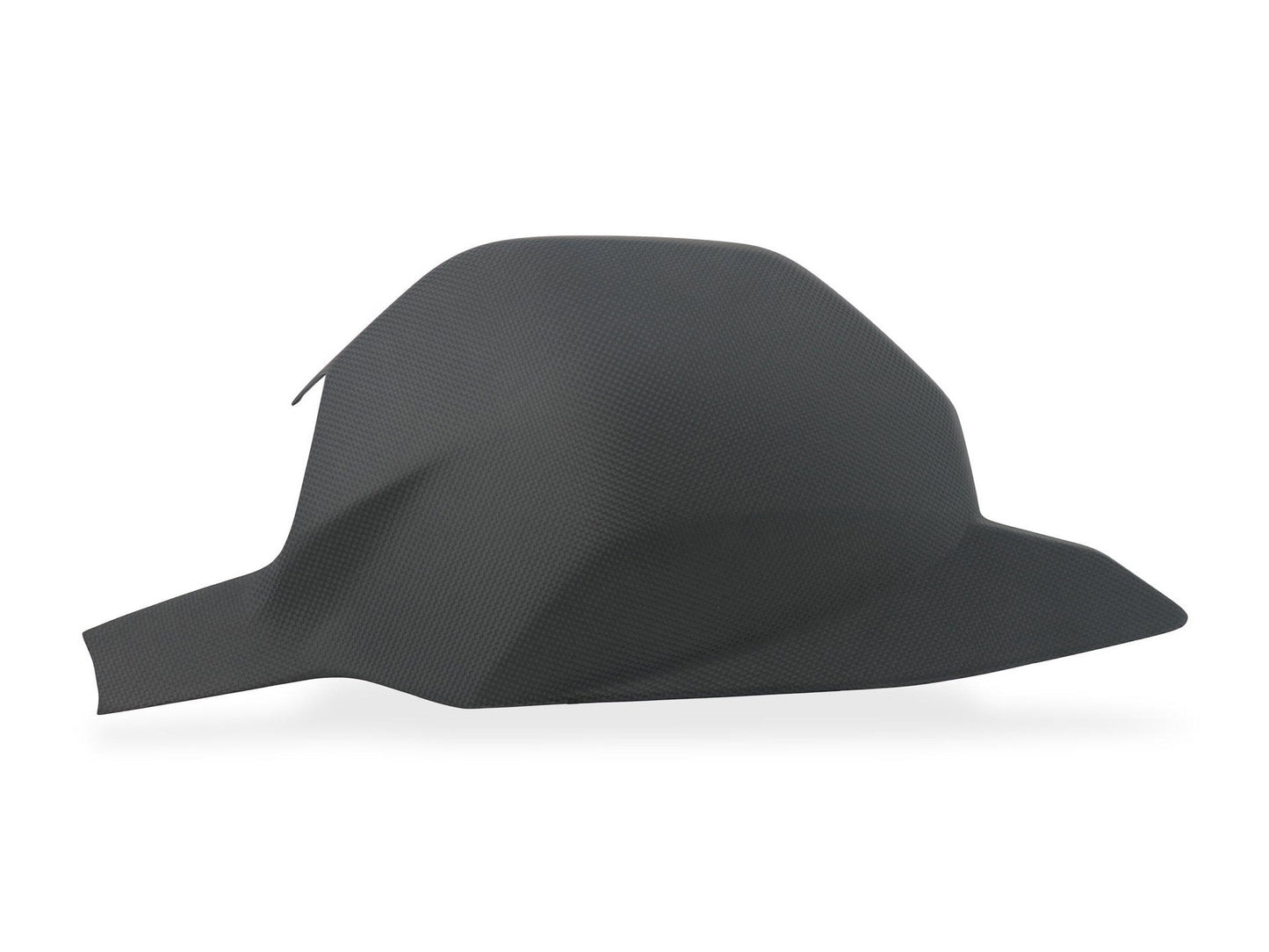 ZA315 - CNC RACING Ducati Streetfighter V4 (2020+) Carbon Swingarm Cover – Accessories in the Factory Racing Motorcycle Aftermarket Accessories and Parts Online Shop