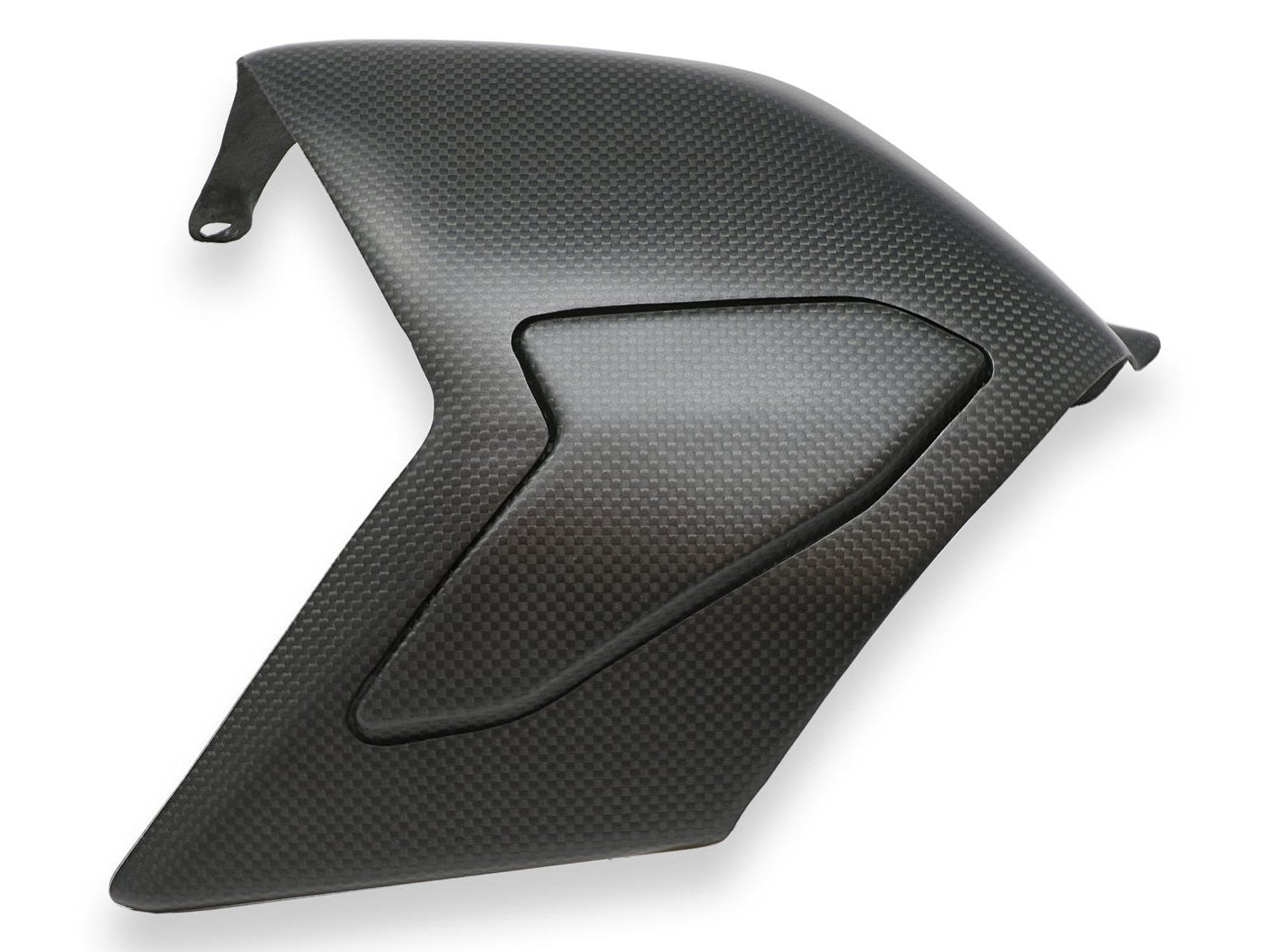 ZA864 - CNC RACING Ducati Panigale V4 (18/24) Carbon Swingarm Cover – Accessories in the Factory Racing Motorcycle Aftermarket Accessories and Parts Online Shop