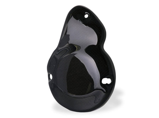 ZA886 - CNC RACING MV Agusta Carbon Generator Cover – Accessories in the Factory Racing Motorcycle Aftermarket Accessories and Parts Online Shop