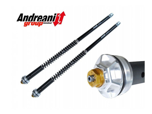 ANDREANI CFD105/A11E Aprilia RS 660 (2020+) Adjustable Hydraulic Fork Cartridge Kit – Accessories in the 2WheelsHero Motorcycle Aftermarket Accessories and Parts Online Shop