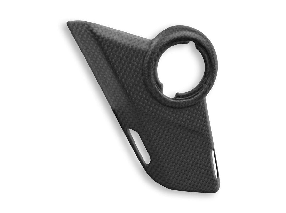 CRB100O - DBK Ducati Multistrada V4 (2021+) Carbon Side Panels