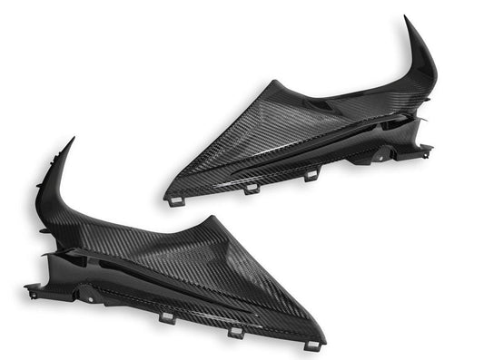 CRB113L - DBK BMW S1000RR (2019+) Carbon Infil Panel