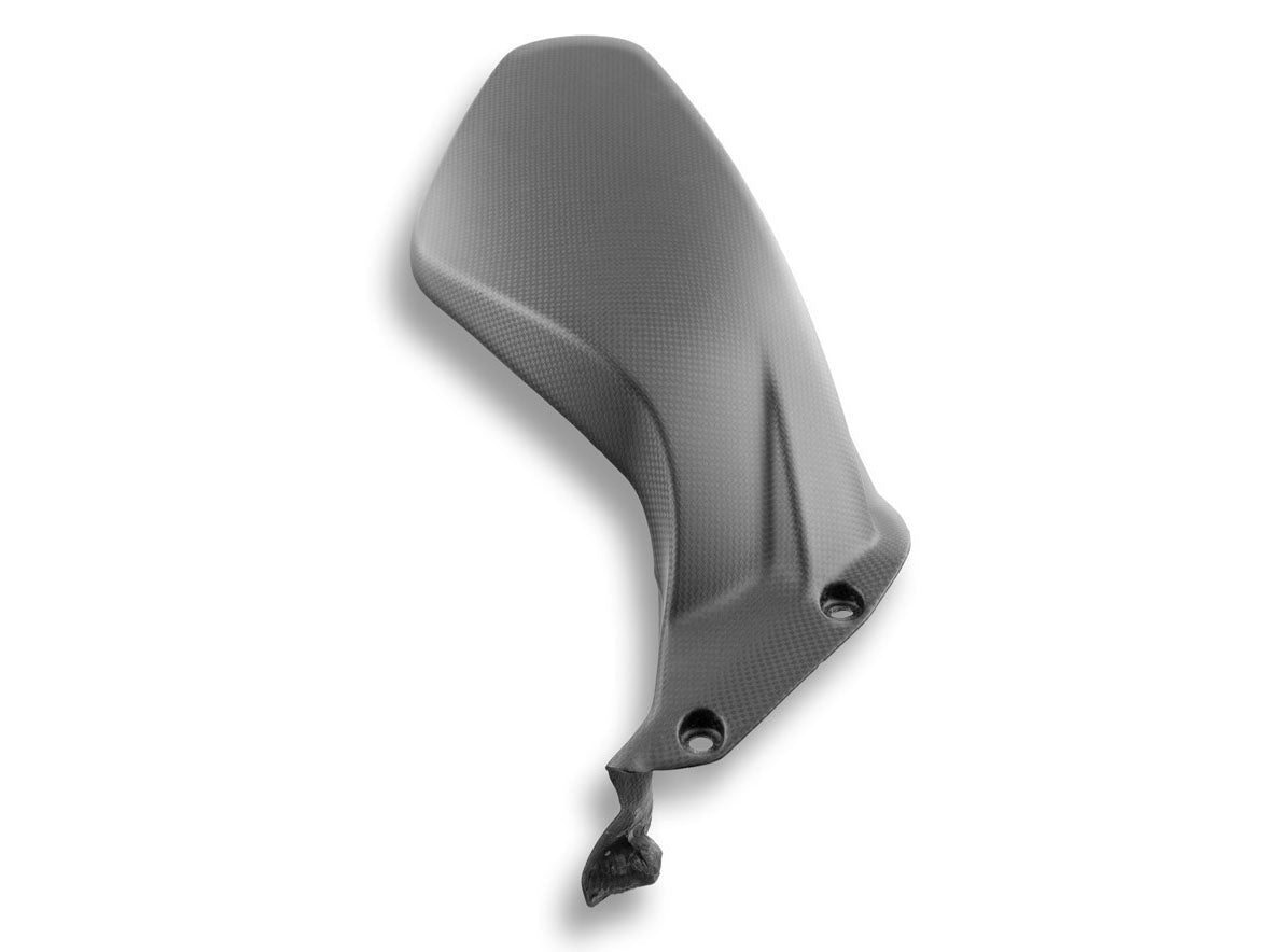 CRB19O - DBK Ducati Panigale V2 / V4 / Streetfighter Carbon Rear Fender