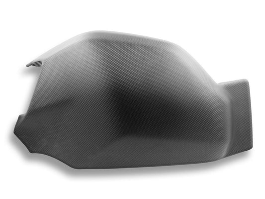CRB24O - DBK Ducati Panigale V4 (2018+) Carbon Swingarm Guard