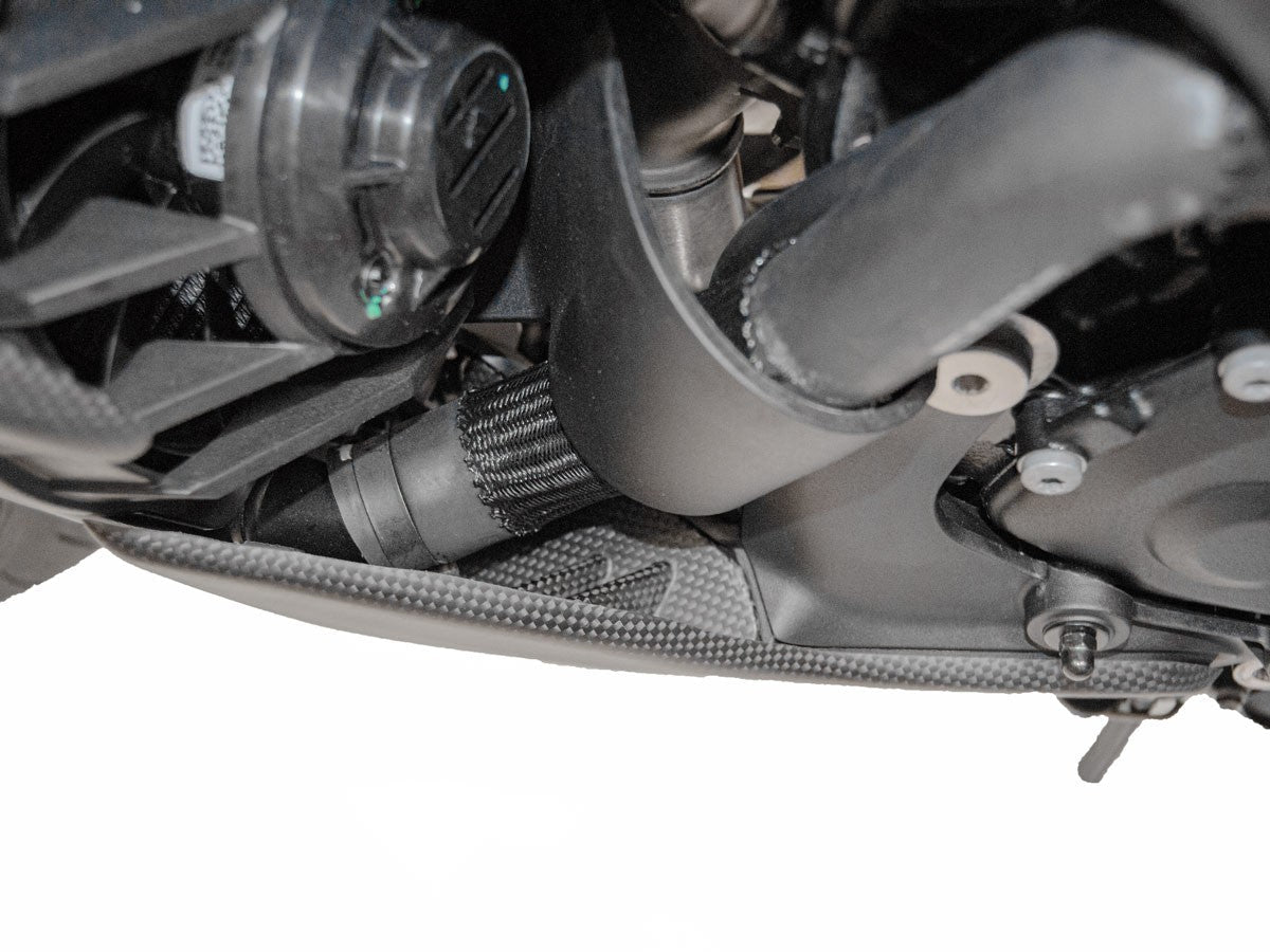 CRB72O - DUCABIKE Ducati Diavel V4 (2023+) Carbon Side Support