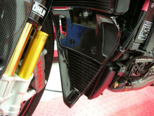 CARBONVANI Ducati Superbike 1098 / 1198 / 848 Carbon Fairing Lower Tip