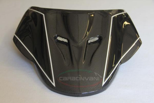 CARBONVANI Ducati Monster 696/796/1100 Carbon Racing Tail "Stripes"