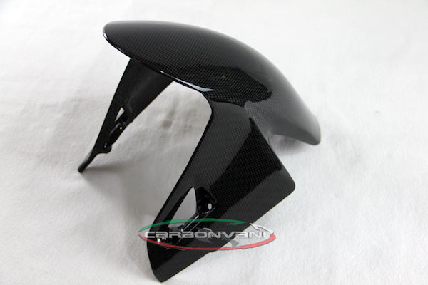 CARBONVANI Ducati Streetfighter V4 (2020+) Carbon Front Fender