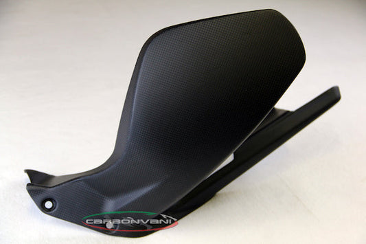 CARBONVANI Ducati Streetfighter V4 (2020+) Carbon Rear Fender
