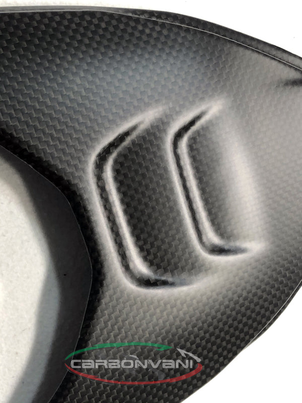 CARBONVANI Ducati Streetfighter V4 (2020+) Carbon Tail Bottom