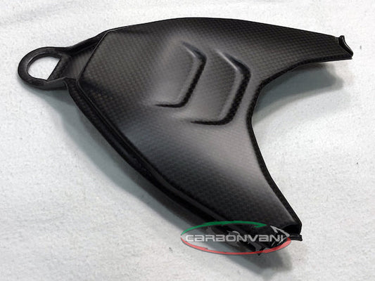 CARBONVANI Ducati Streetfighter V4 (2020+) Carbon Tail Bottom