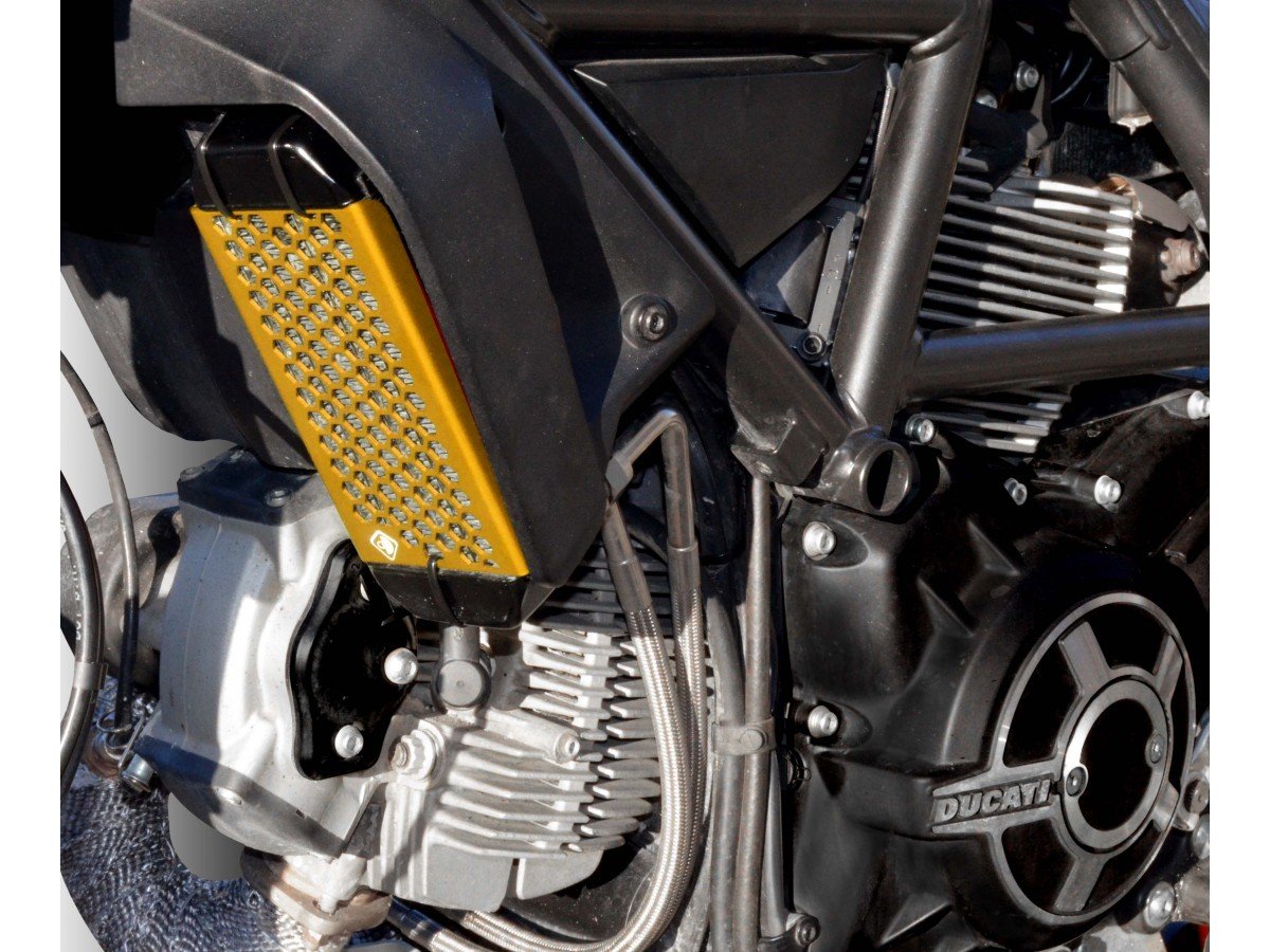 GR03 - DUCABIKE Ducati Scrambler 800 (15/22) Radiator Guard