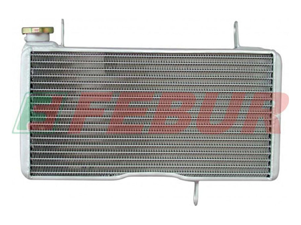 FEBUR Ducati Monster S4 Complete Increased Water Radiator – Factory Racing